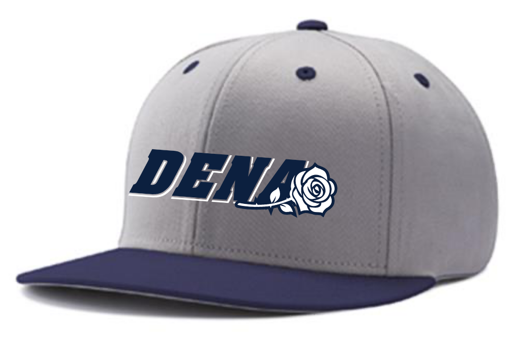 PGSA SnapBack Hat | Grey/Navy (Logo: Navy w/ White DENA)