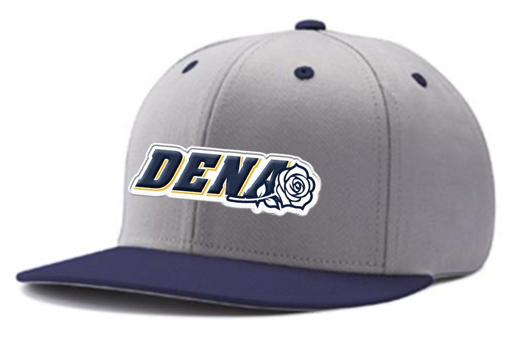 PGSA SnapBack Hat | Grey/Navy (Logo: Embroidered DENA)
