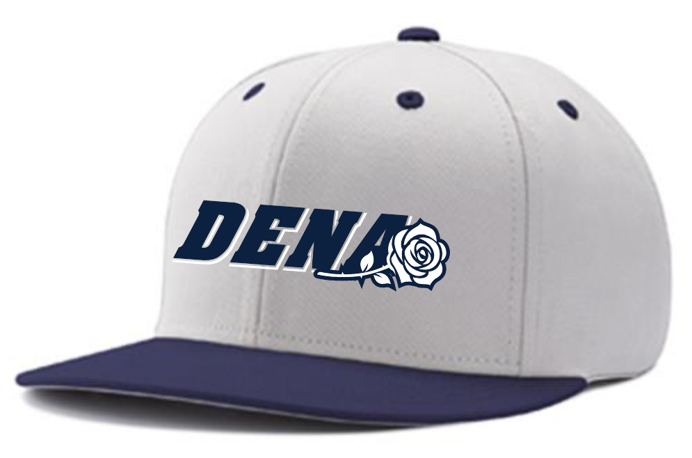 PGSA SnapBack Hat | White/Navy (Logo: Navy w/ White DENA)