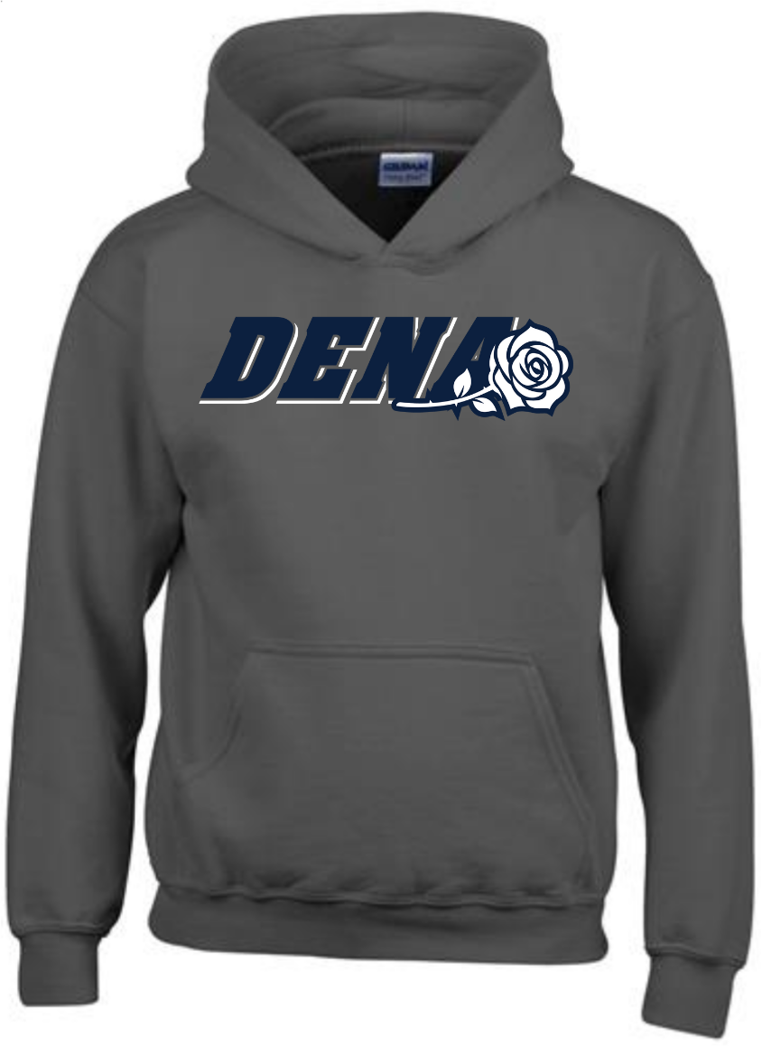 PGSA Hoodie | Charcoal (Logo: Navy w/ White DENA)