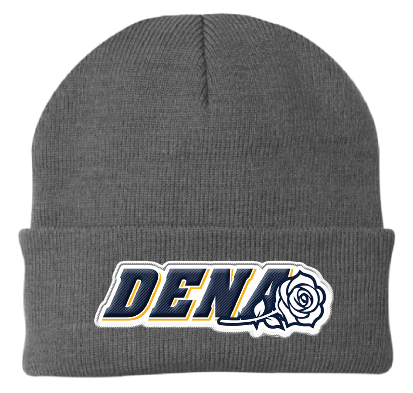 PGSA Beanie | Charcoal (Logo: Blue/Gold DENA)