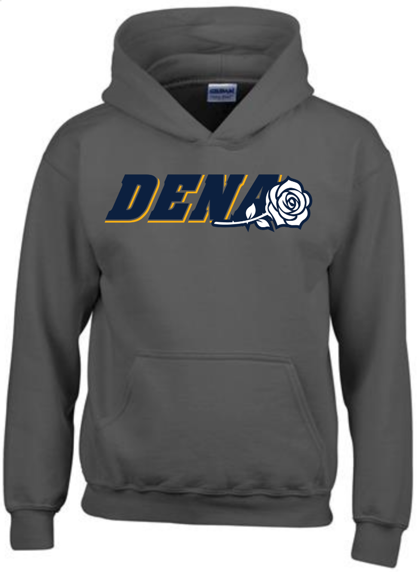Charcoal Hoodie: Navy & Gold DENA Logo